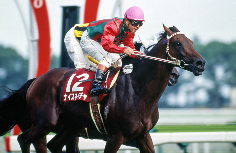 競走馬の年齢について詳しく解説 全盛期や長生きの馬も紹介 みんなの競馬検証