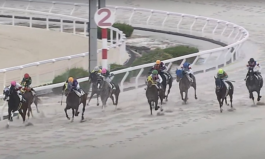 園田競馬場のコース特徴や傾向データを調査!初心者でも勝てる攻略法! - みんなの競馬検証