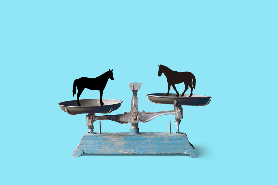 競馬における斤量とは?負担重量の決め方や競走馬への影響を解説! - みんなの競馬検証