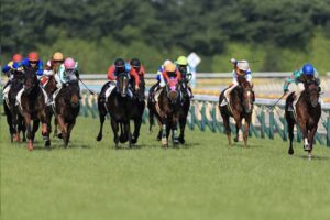阪神ジュベナイルF