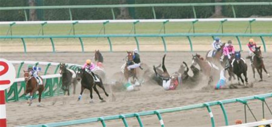 2010年1月11日中央競馬で史上最多９頭落馬