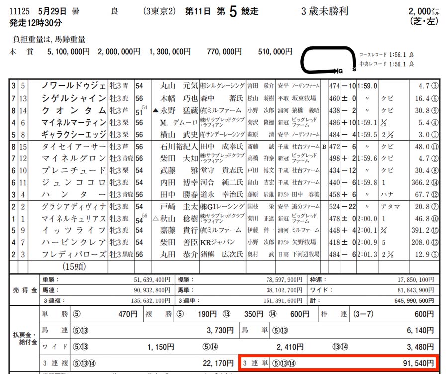 5月29日東京競馬場5レースを検証