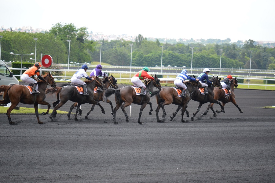 船橋競馬場のコース特徴や傾向データを調査!初心者でも勝てる攻略法!