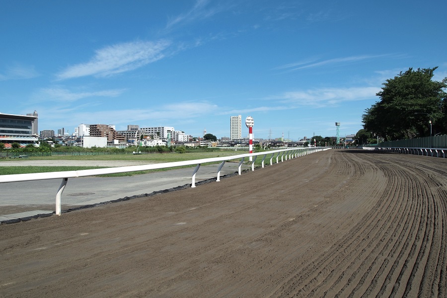 荒れやすい競馬場とは？