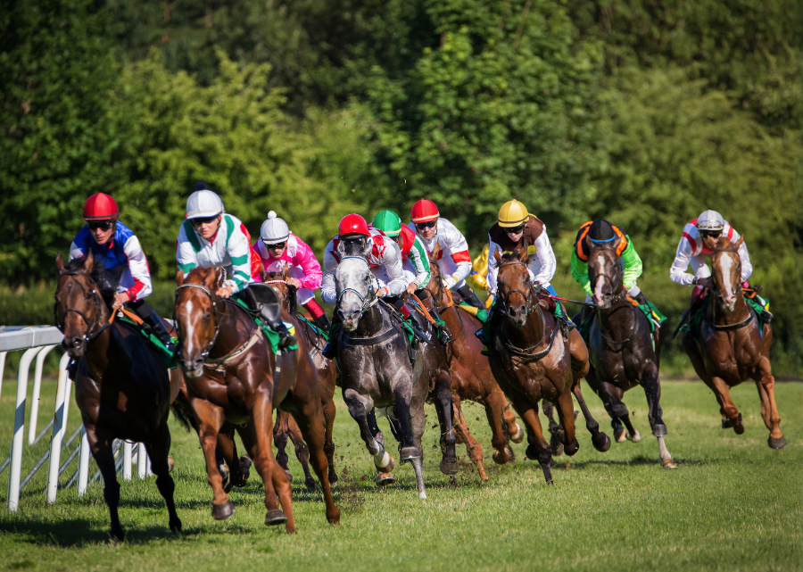 競馬の3連単を全通り買うといくらになる？買い目の計算方法とあわせて解説