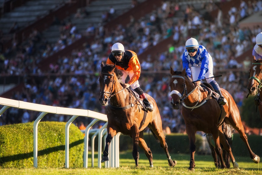 競馬はヒモの選び方で収支が激変！ヒモ抜けを恐れず回収率を上げよう