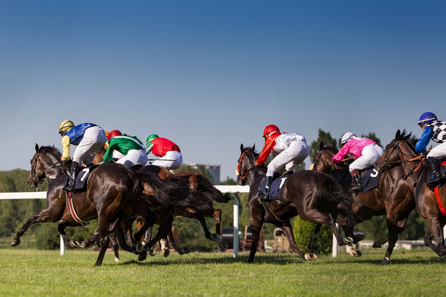 競馬のレースの種類について