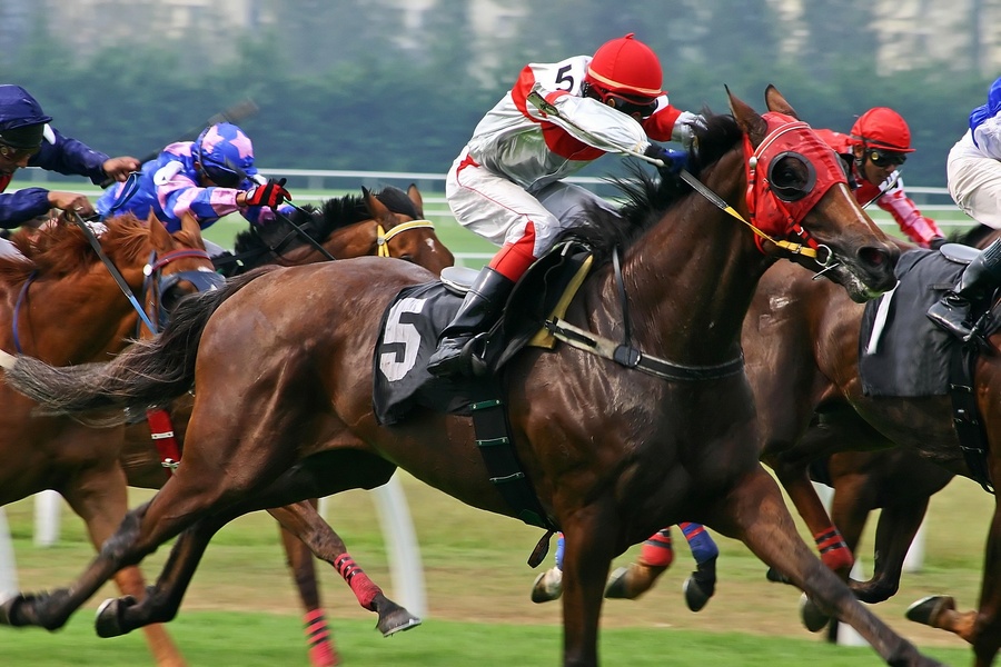 回収率が高い馬の選び方