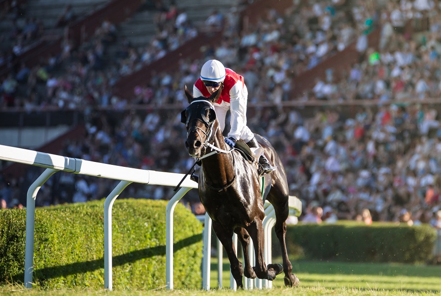 競走馬はだいたい2歳にデビューする