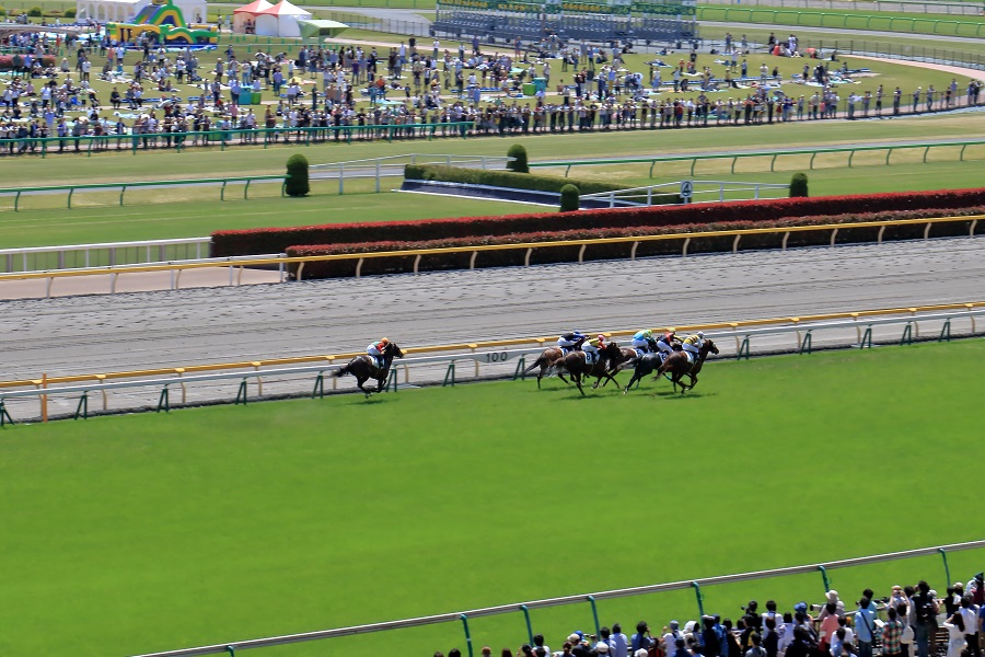 レースにおける差し馬の立ち位置