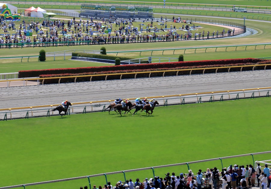 馬単フォーメーションの最強の買い方とは 点数の計算方法も紹介 おすすめ競馬予想サイト17選 みんなの競馬検証