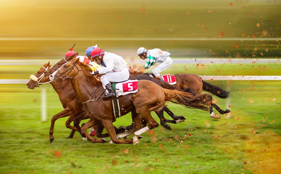 日本競馬におけるクラシックレースとは？