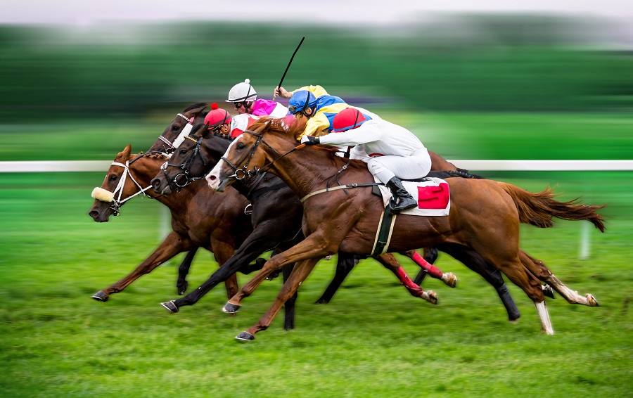 馬単フォーメーションの最強の買い方とは 点数の計算方法も紹介 おすすめ競馬予想サイト17選 みんなの競馬検証