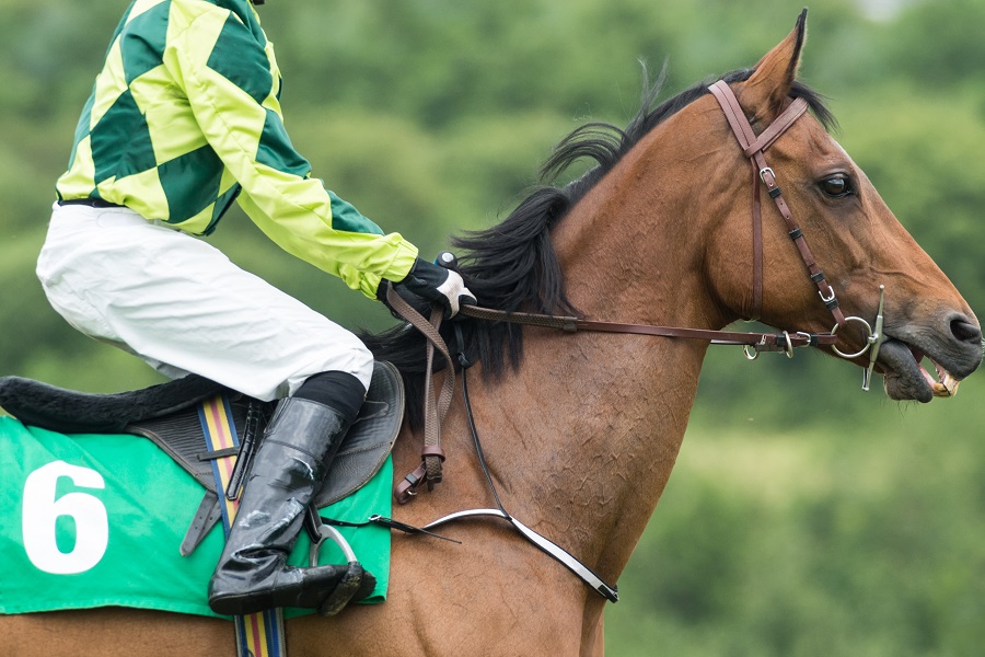 競馬における斤量とは？負担重量の決め方や競走馬への影響を解説！