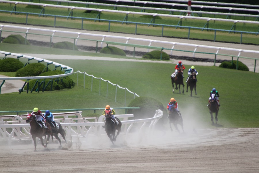 地方競馬とは