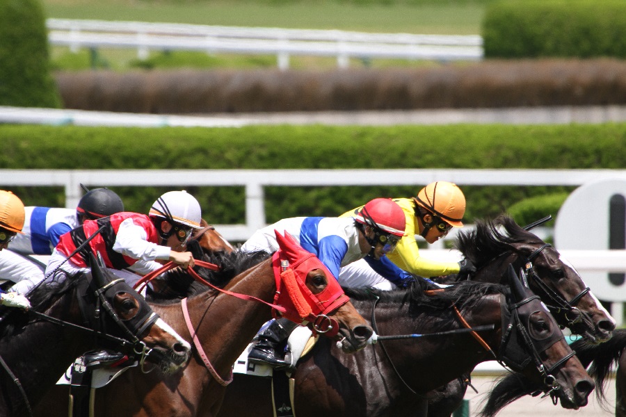 吉田隼人騎手がこれまで騎乗した競走馬たち