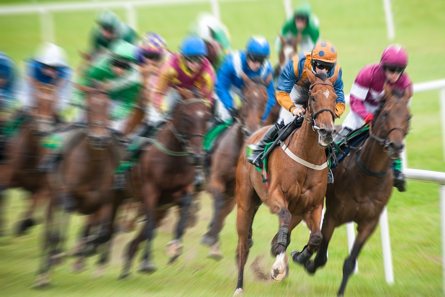 桜花賞の予想に役立つデータを紹介！過去の傾向や優勝馬の活躍を解説！