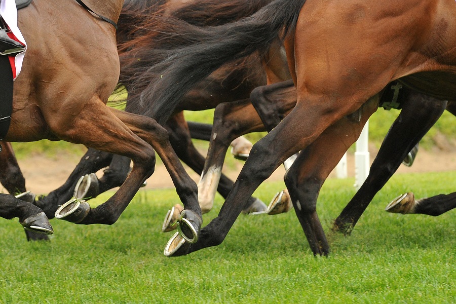 競馬で落鉄とは何？レースへの影響と原因について解説