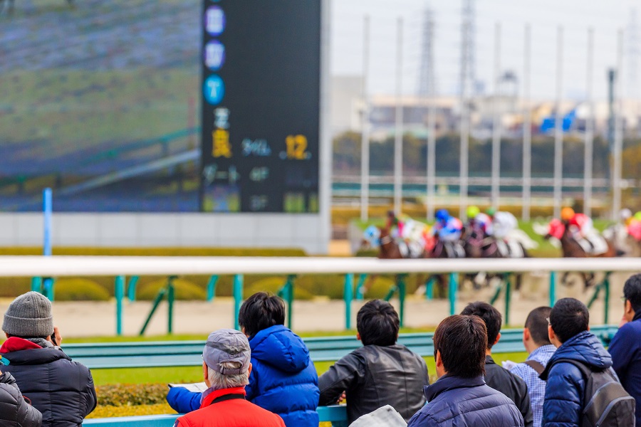 【地方競馬】競馬場ごとのレース特徴と勝率が高い馬を教えます！