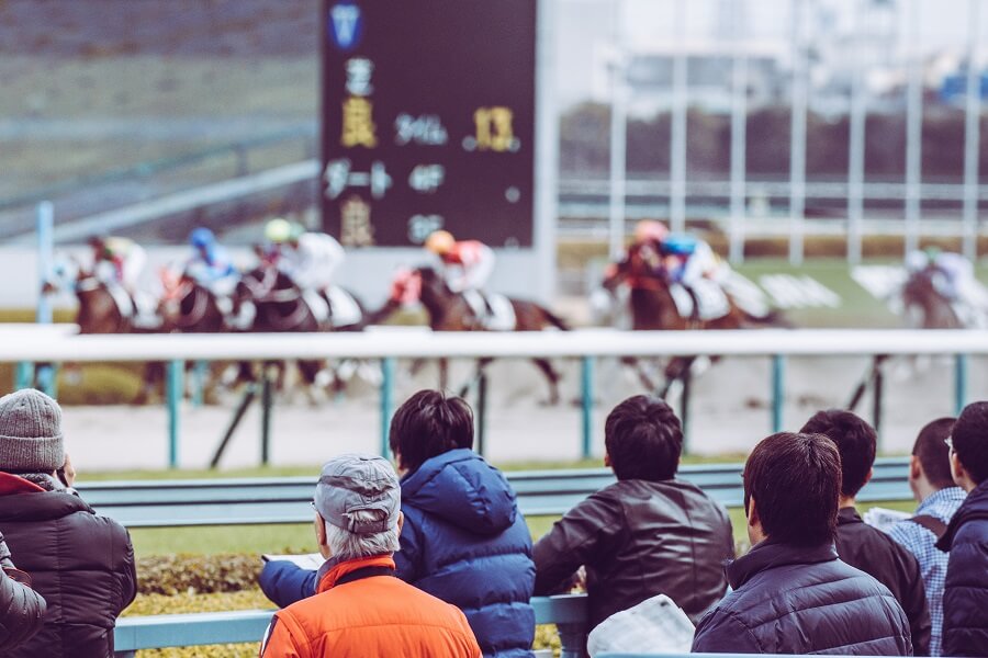 競馬は不人気馬も十分に勝てている競技