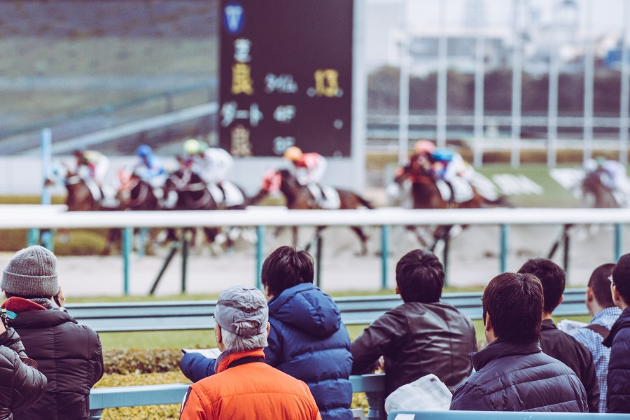 競馬に興味を持ったなら一度は競馬場に行ってみよう