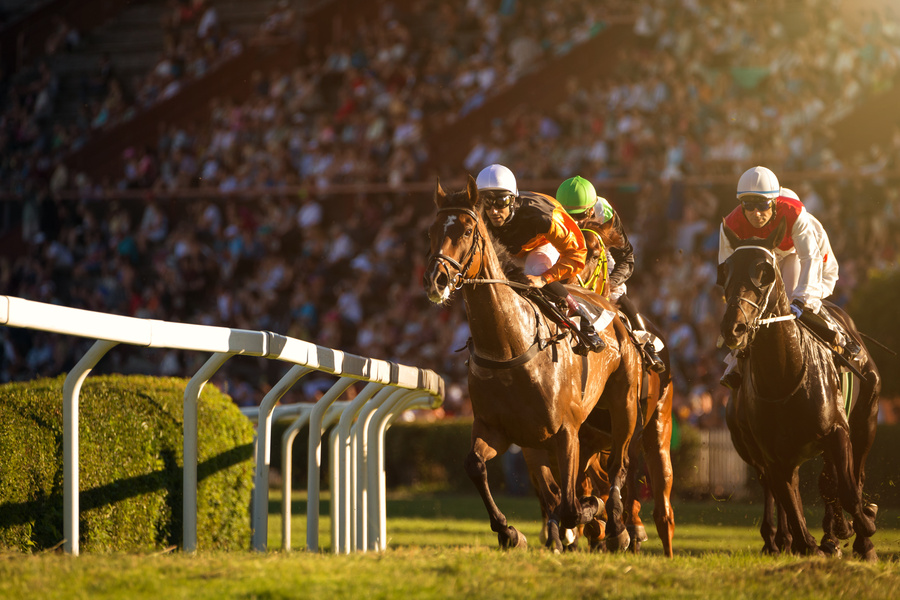 回収率を高めるための穴馬の選び方