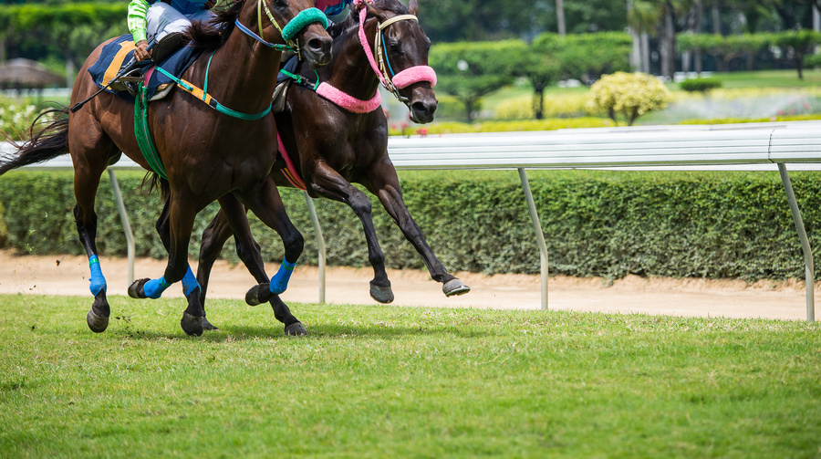 有馬記念誕生の経緯