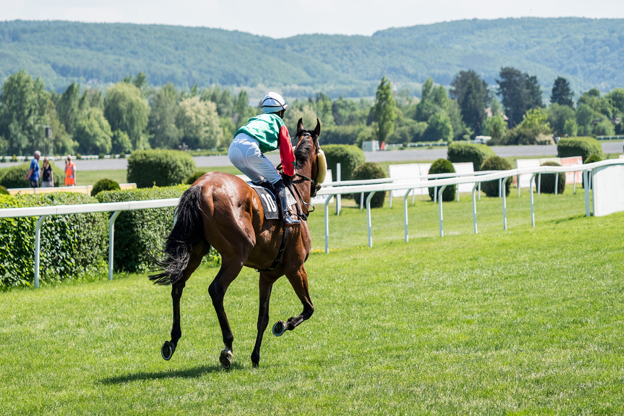 過去10年の優勝馬