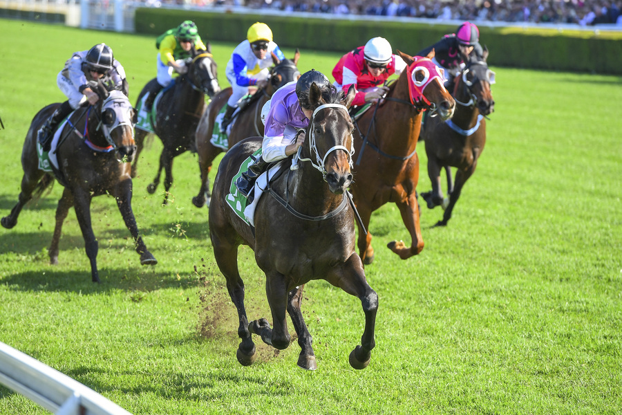 先行馬とは前方で競馬する馬