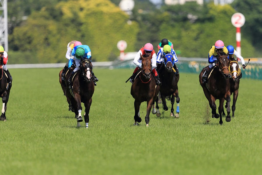 吉田豊騎手がこれまで騎乗した競走馬たち