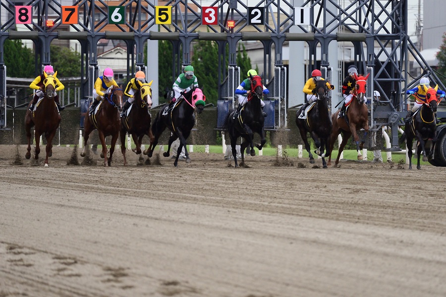 地方競馬出身の様々な名馬たちを紹介