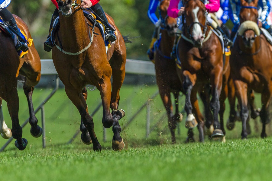 馬の脚質によっても勝ちやすい枠は変わる