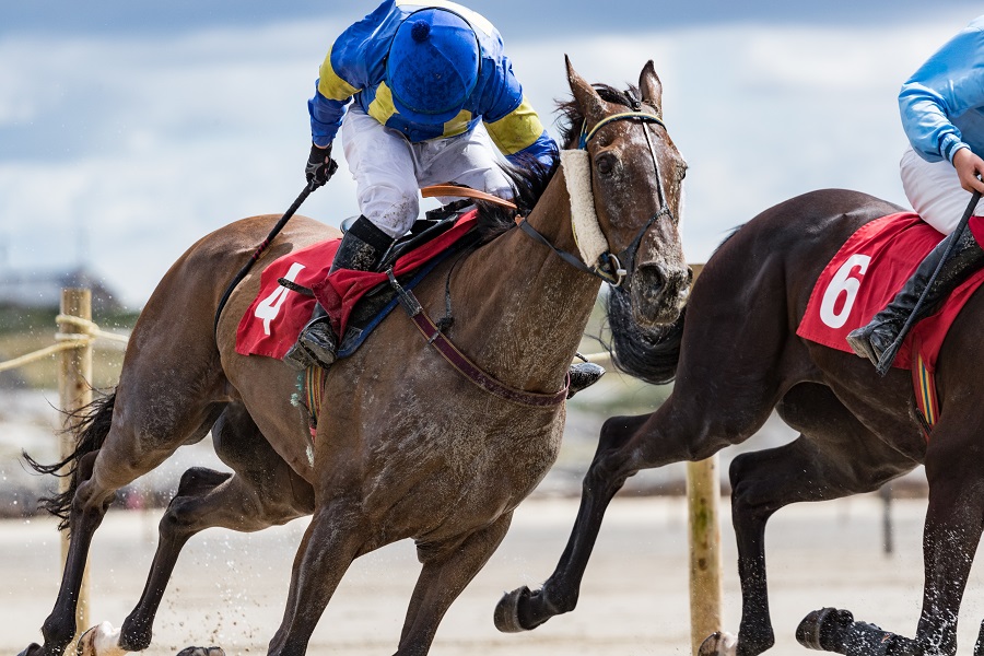 競馬は鞭の回数が決まっているが変更も多い！日本と海外の差も解説