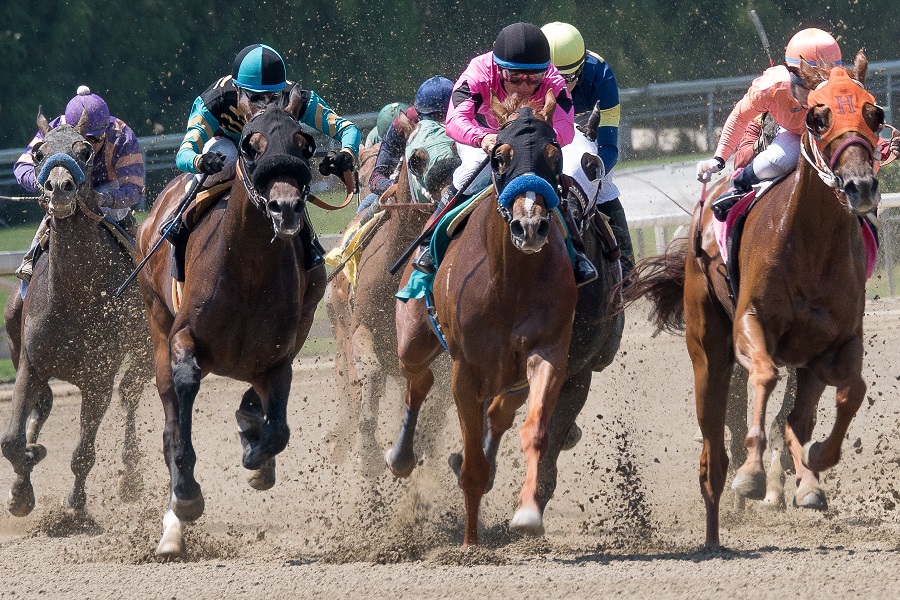 地方競馬の勝ち方を解説