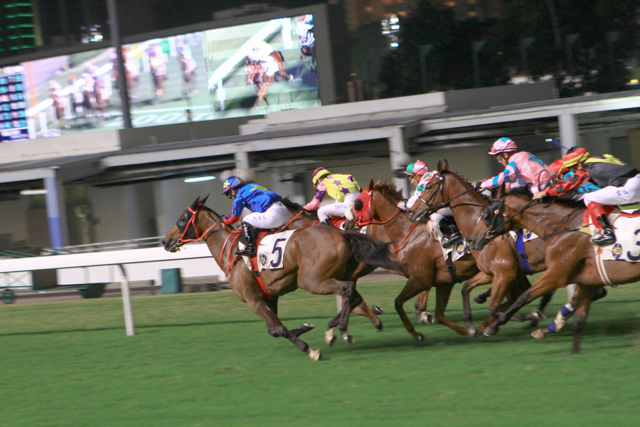 3連単で購入する馬の選び方