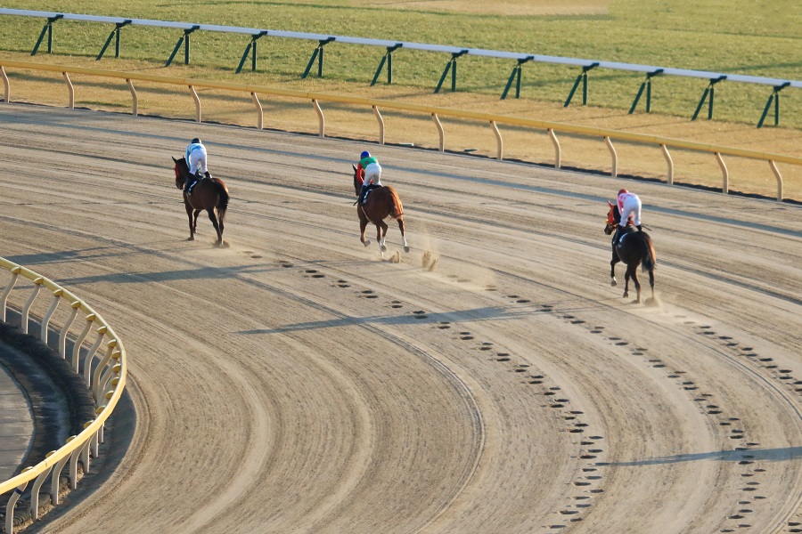 中央競馬ダート戦の距離について