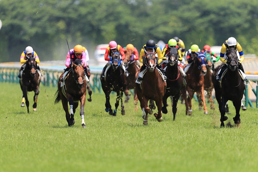 競馬のワイド馬券とは？平均配当とボックスなど買い方を解説