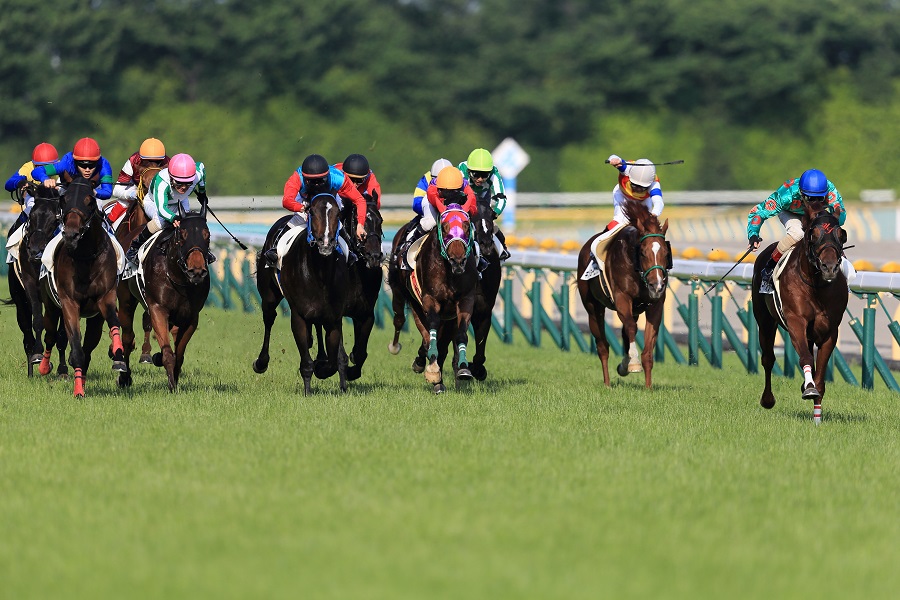 3連複流しとは？計算方法と軸馬の選び方を解説