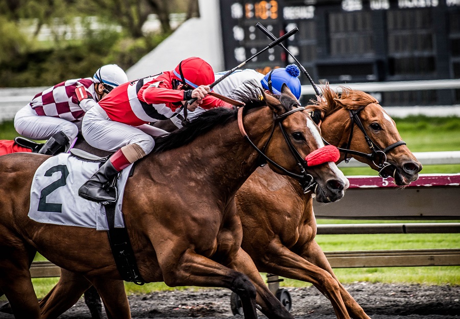 競馬界の中心に立った最強牝馬ランキング