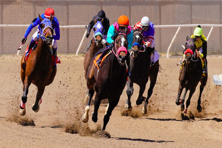 競馬におけるダート戦とは？