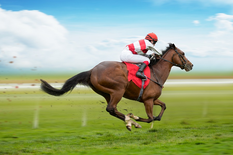 馬体重がレースに与える影響とは？馬体重で馬の状態を確認するポイント5選