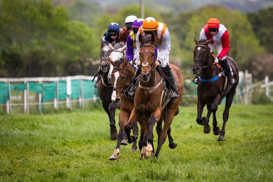 競馬のレースにはたくさんの種類がある！ランクや条件、ハンデ線について解説！