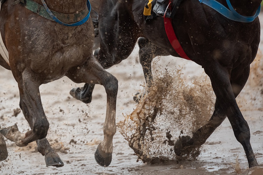 競馬は大雨が降ってもレースを開催する