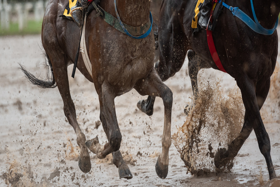 先行馬が力を発揮しやすい舞台