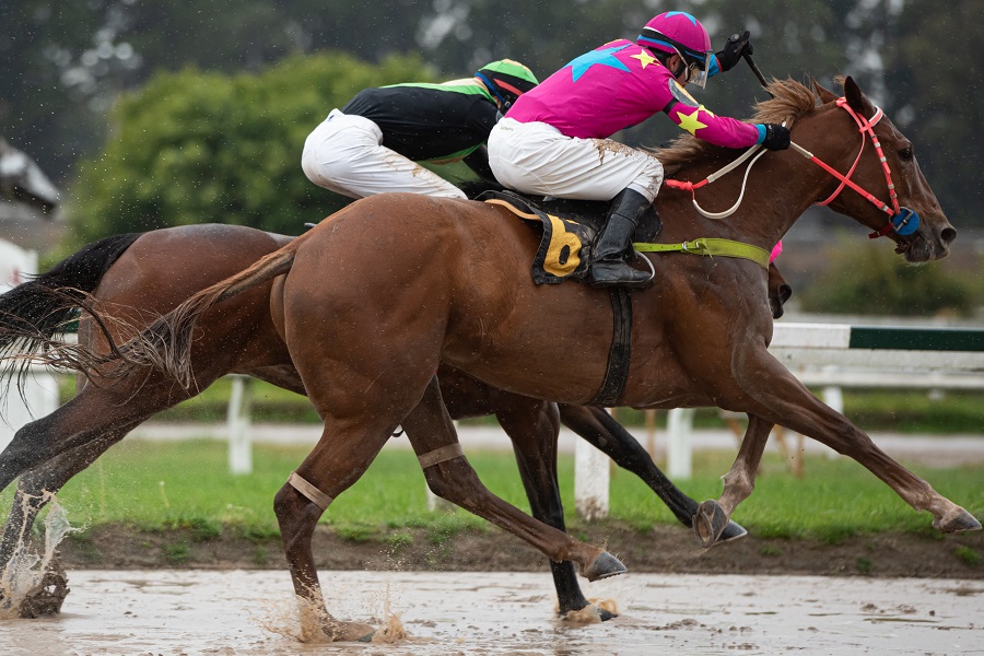 馬場状態が変化すると競走馬にはどんな影響が出るか知っておこう