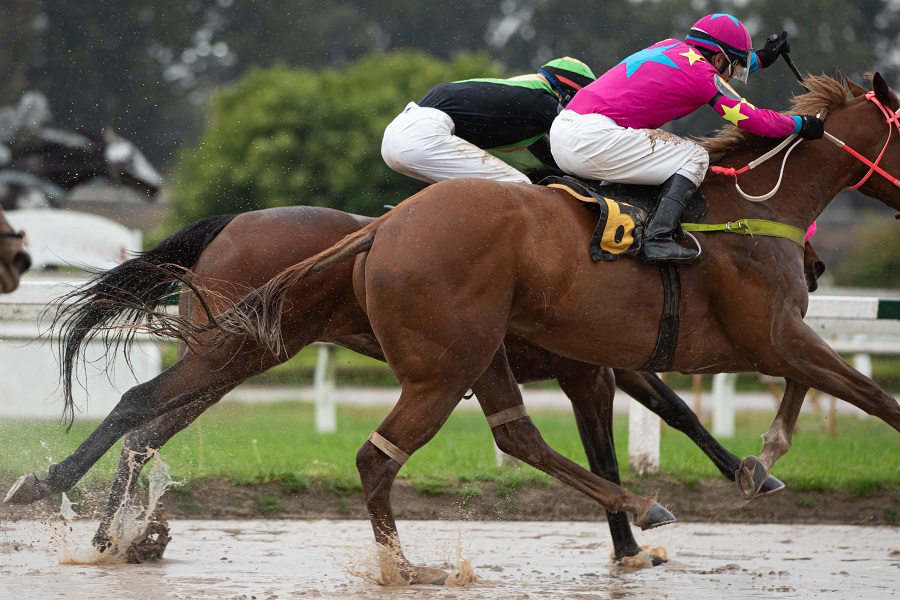 重馬場に強い騎手4名を紹介！不良馬場でも実力を発揮できる騎手は？