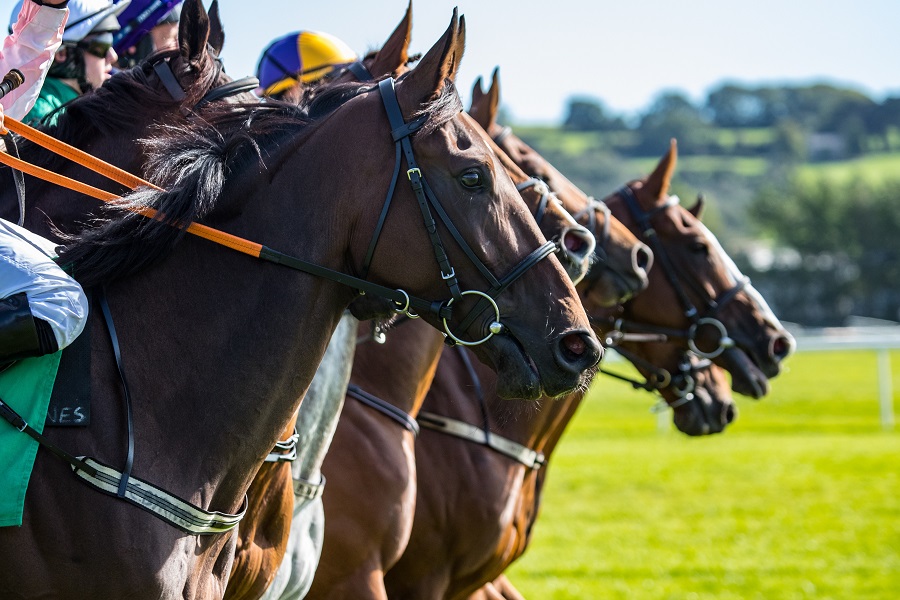 先行馬よりも逃げ馬のほうが勝ちやすい