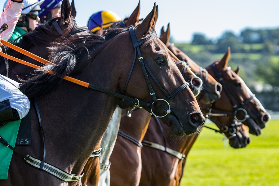 先行馬とは？先行馬の見分け方と有利な条件を紹介！