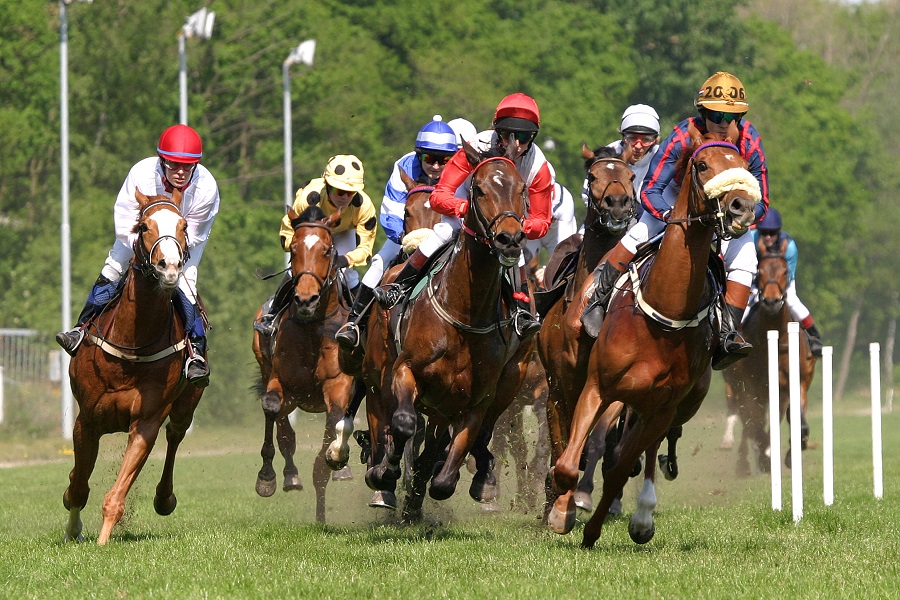 ホープフルステークスの予想に役立つデータを紹介！過去の傾向や優勝馬のその後の活躍を解説！