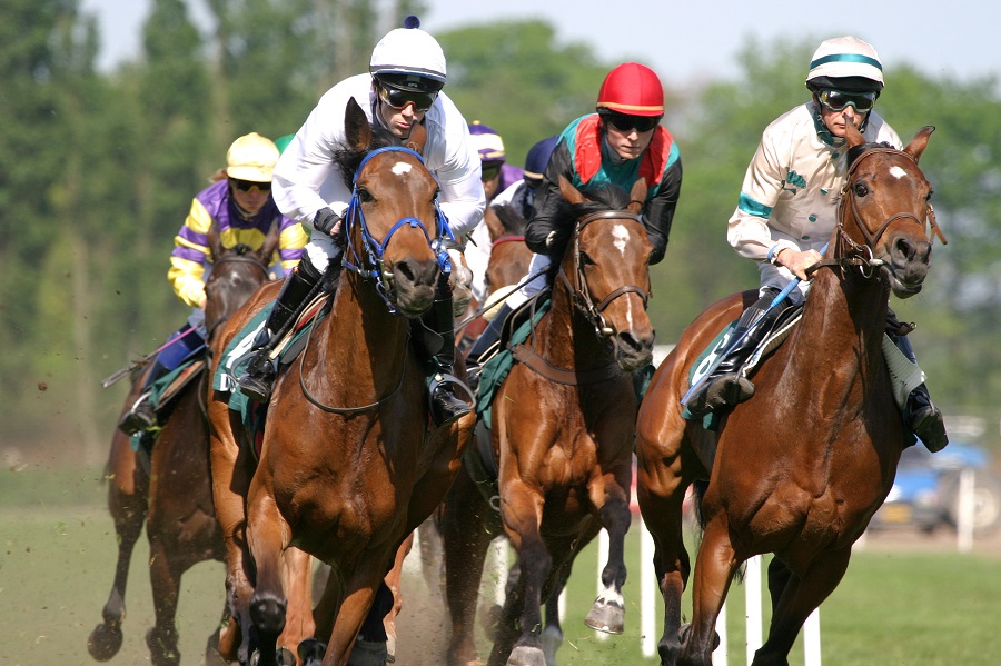 競馬の複勝とは？複勝の勝ち方とオッズについて解説